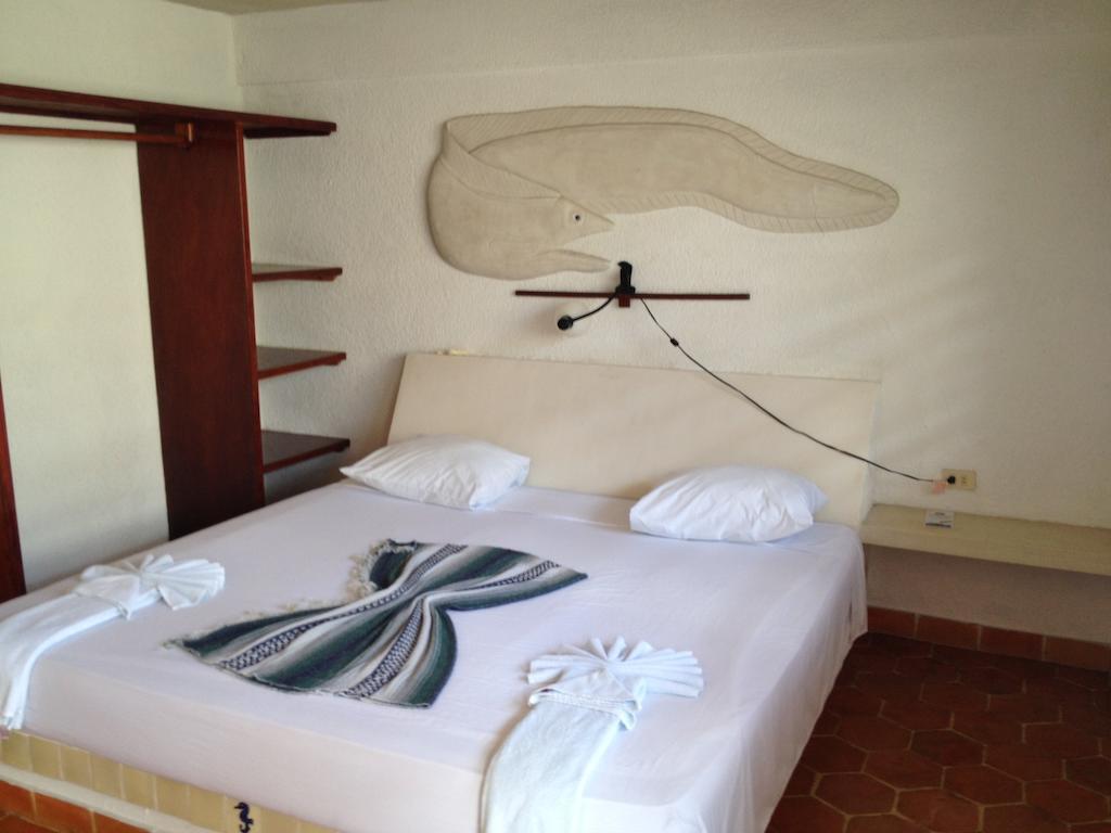 Safari Inn Cozumel Pokoj fotografie