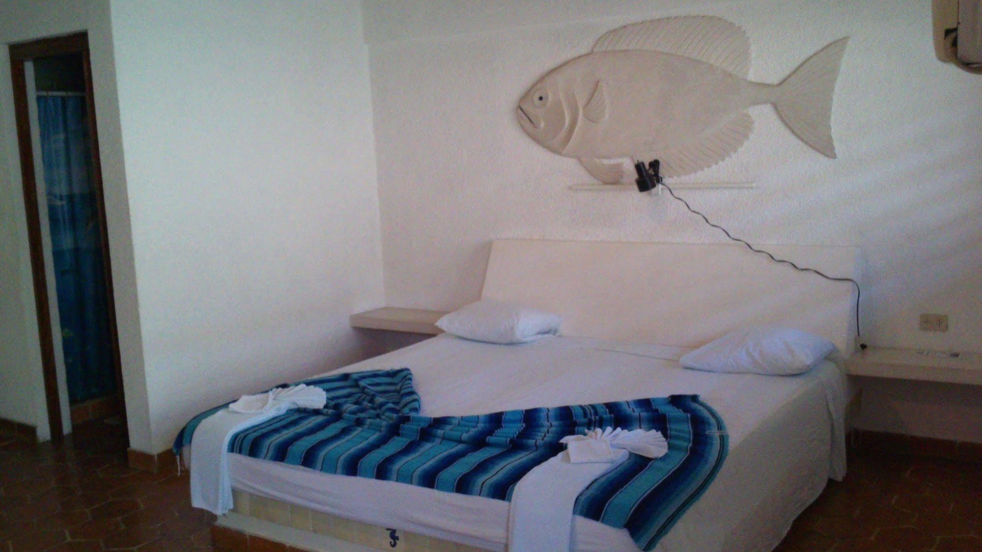 Safari Inn Cozumel Exteriér fotografie