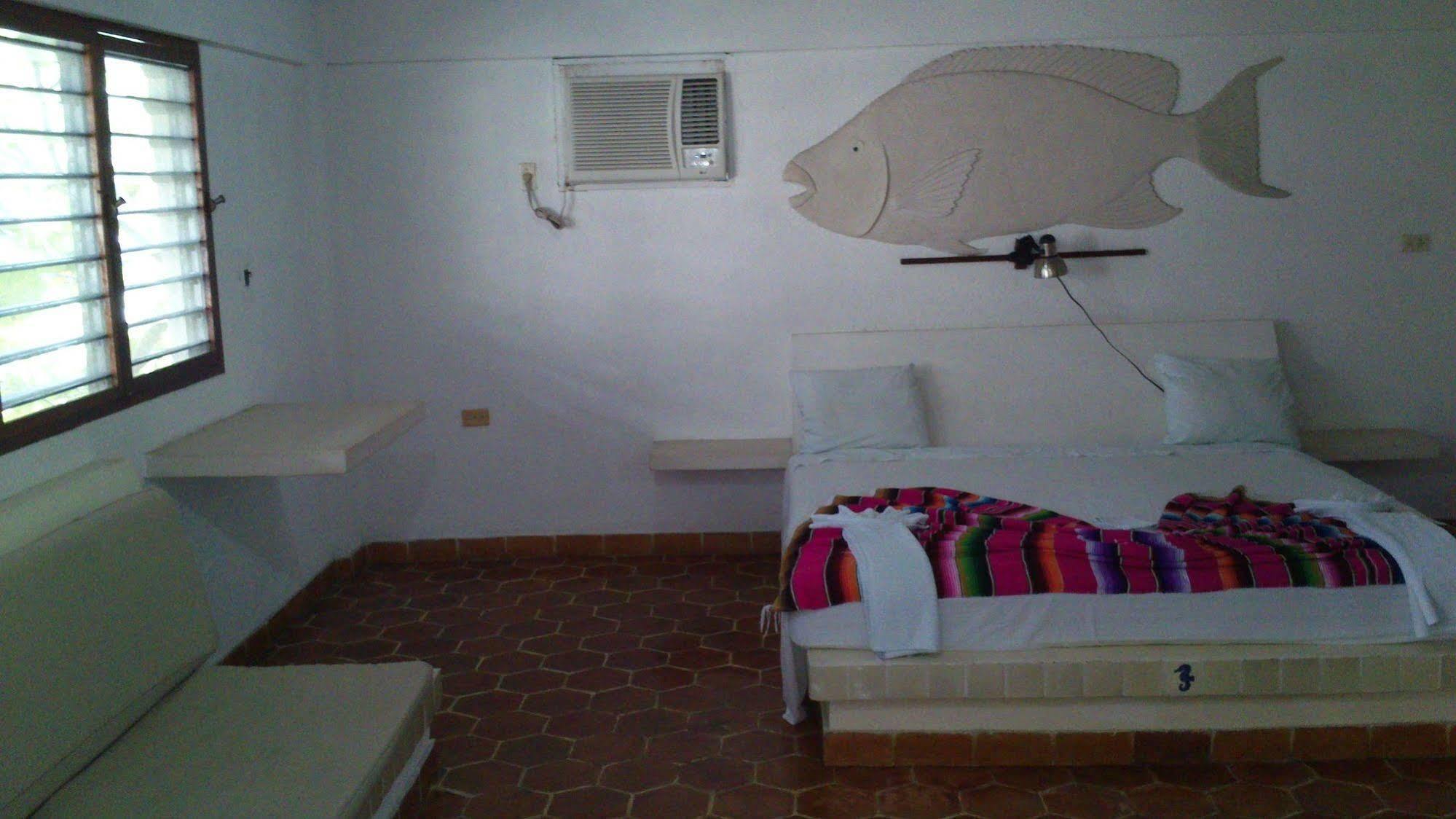 Safari Inn Cozumel Exteriér fotografie