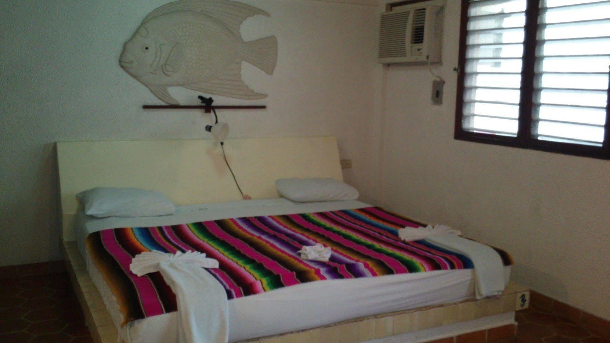 Safari Inn Cozumel Exteriér fotografie